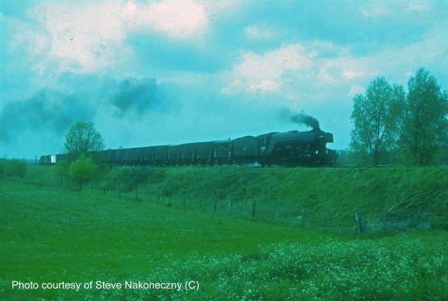 60103 S NAKONECZNY credited